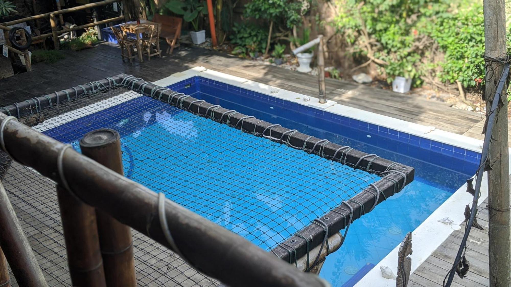 La Natura Hostel & Pool Palomino Exteriér fotografie