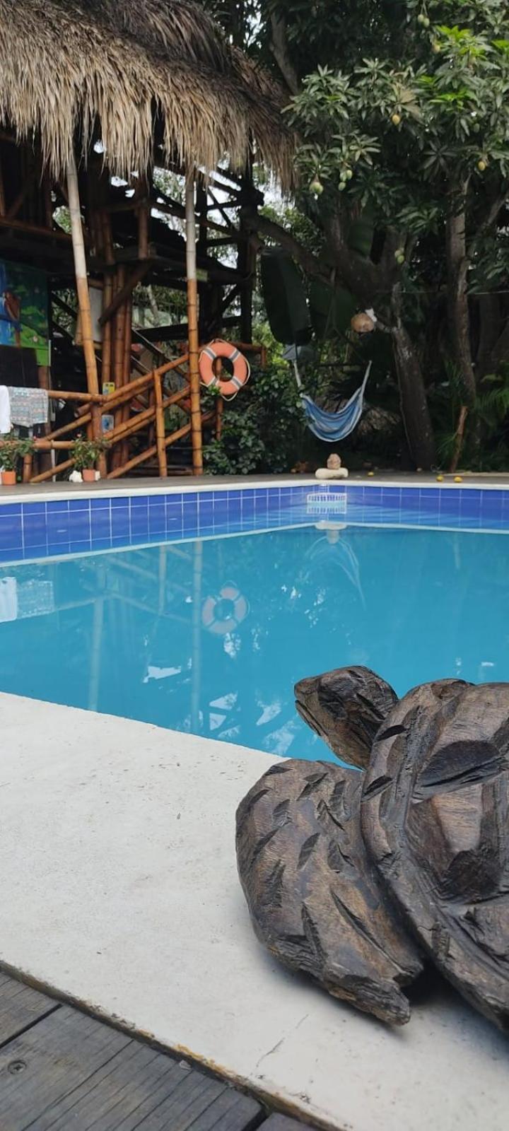 La Natura Hostel & Pool Palomino Exteriér fotografie